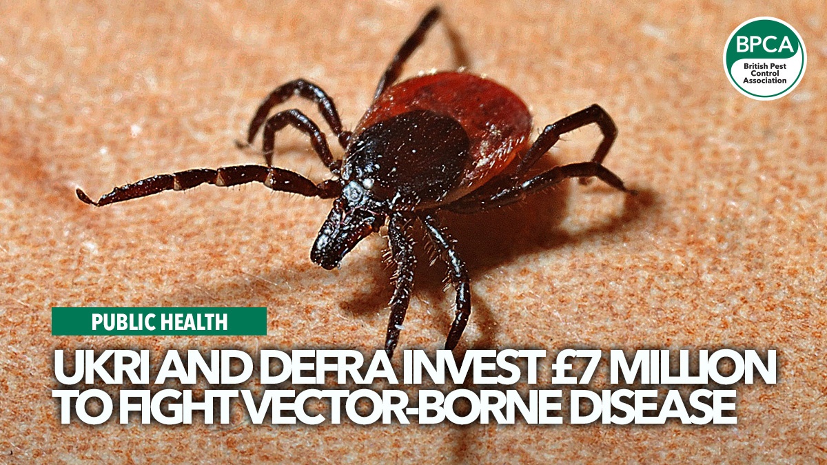 ukri-and-defra-invest-fight-vector-diseases ukri-and-defra-invest-fight-vector-diseases